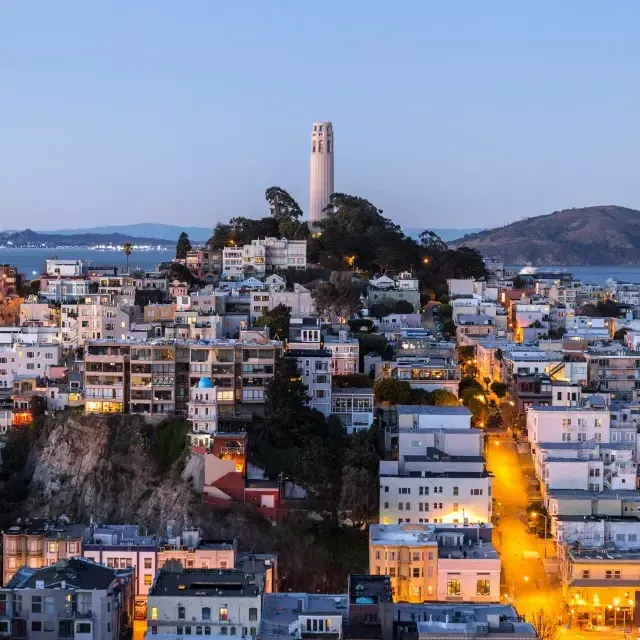 Coit Tower, 在贝博体彩app, 夜幕降临时, 前面是灯火通明的街道，后面是贝博体彩app湾.